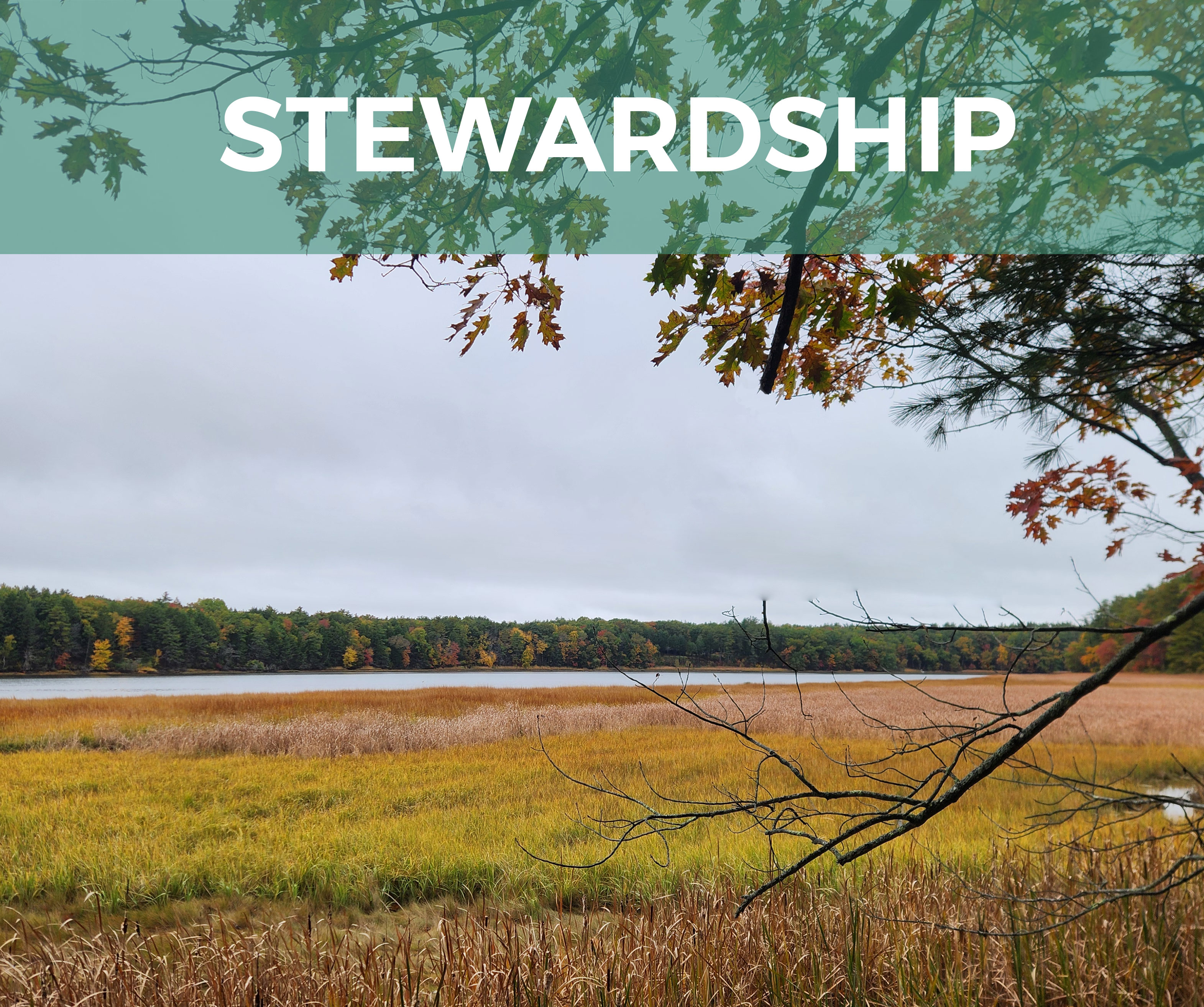 Stewardship